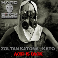 Zoltan Katona (Kato) - Acid Is Back