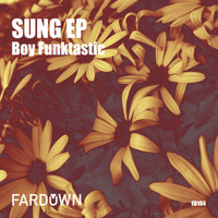 Boy Funktastic - Sung EP