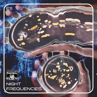 E11 - Night Frequencies