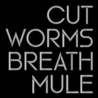 Cut Worms - Breath Mule