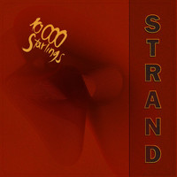 Strand - 10.000 Starlings