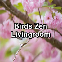 Nature Bird Sounds - Birds Zen Livingroom