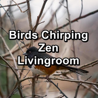Spa & Spa - Birds Chirping Zen Livingroom