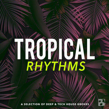 Various Artists - Tropical Rhythms