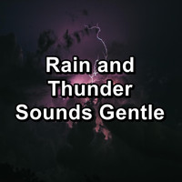 Nature Music - Rain and Thunder Sounds Gentle