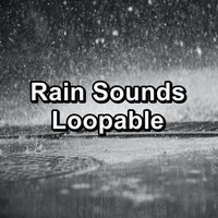 Nature Music - Rain Sounds Loopable