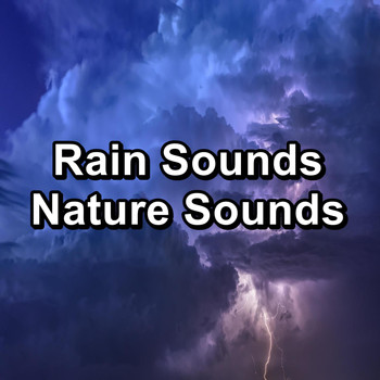 Meditation Rain Sounds - Rain Sounds Nature Sounds