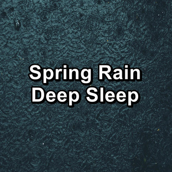 Rain Sound Studio - Spring Rain Deep Sleep