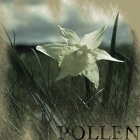 Elixir - Pollen
