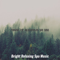 Bright Relaxing Spa Music - Feelings for Rejuvenating Spa Days