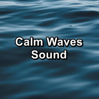 Sleeping Ocean Waves - Calm Waves Sound