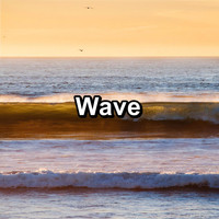 Study Alpha Waves - Wave