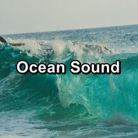Beach Sounds - Ocean Sound