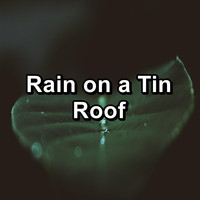 Nature Tribe - Rain on a Tin Roof