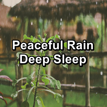 Binaural Beats Sleep - Peaceful Rain Deep Sleep