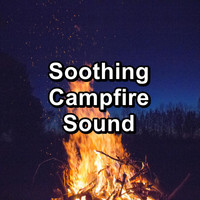 Nature Sounds for Sleep and Relaxation - Soothing Campfire Sound