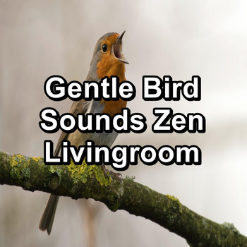 Sleep - Gentle Bird Sounds Zen Livingroom