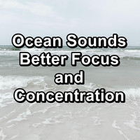 Water Soundscapes - Ocean Sounds Better Focus and Concentration