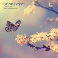 Silence Groove - Defined (Original)