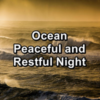 Ocean Waves Sleep Aid - Ocean Peaceful and Restful Night