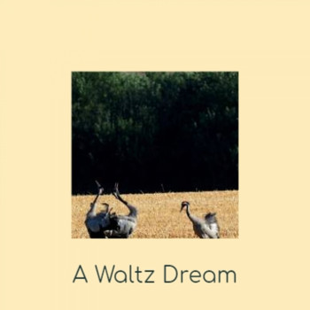 Various Artists - A Waltz Dream