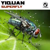 Yiquan - Superfly