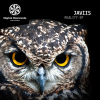 Javiis - Reality