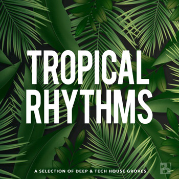 Various Artists - Tropical Rhythms