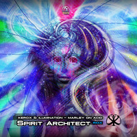 Xerox & Illumination - Marley On Acid (Spirit Architect Remix)