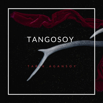 Tarık Ağansoy - Tangosoy (Şiir Müzikleri)