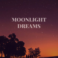 Beach Top Sounders - Moonlight Dreams