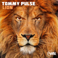 Tommy Pulse - Lion