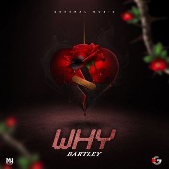 Bartley - Why