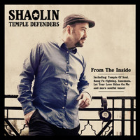 Shaolin Temple Defenders - From the Inside