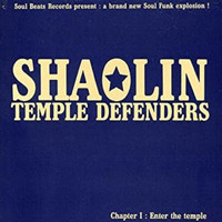 Shaolin Temple Defenders - Enter the Temple
