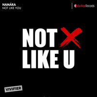 Namára - Not Like You