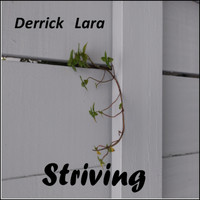Derrick Lara - Striving