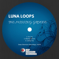 Luna Loops - The Missing Groove