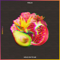 Feelix - Hold On To Me