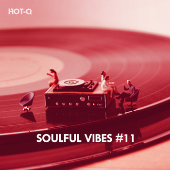 HOTQ - Soulful Vibes, Vol. 11