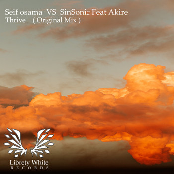 Sinsonic vs Seif Osama feat Akire - Thrive