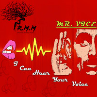 Mr. Vice - I Can Hear Your Voice