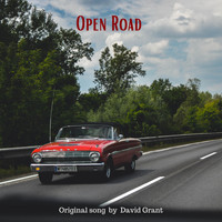 David Grant - Open Road