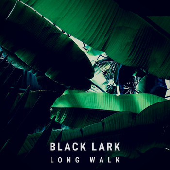 Black Lark - Long Walk