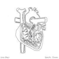 Specific Ocean - Unity Effect
