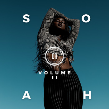 Various Artists - The Sounds of Afro House (Volume II)