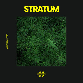 Various Artists - Stratum