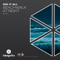 Dig It All - Beachwalk At Night