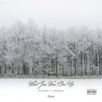 Hazy - What You Won't Give Up (feat. V.I & PhilaBoi_K) (Explicit)