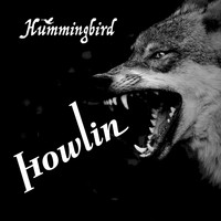 Hummingbird - Howlin'
